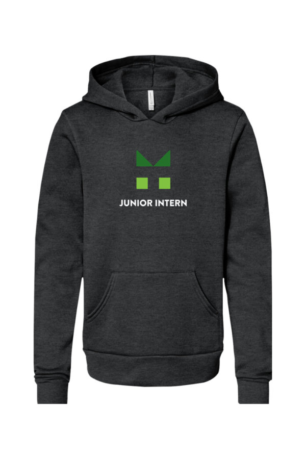 Youth Fleece Pullover Hoodie