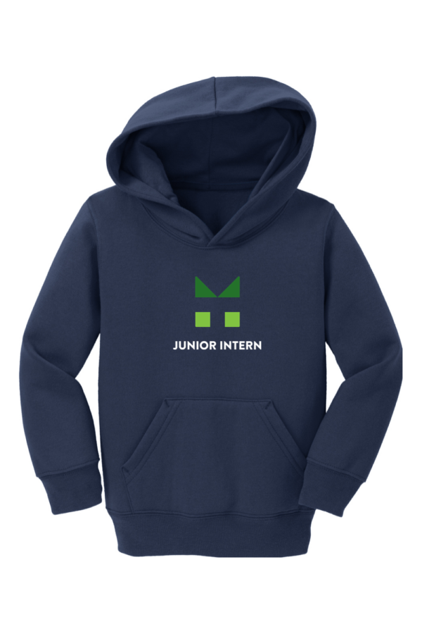 Toddler Fleece Pullover Hoodie