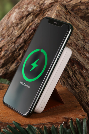 Powerbank & Wireless Charger